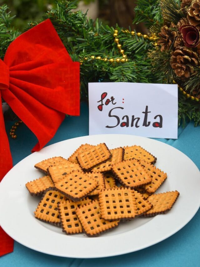 How to Make DIY Cookies for Santa Plate Story