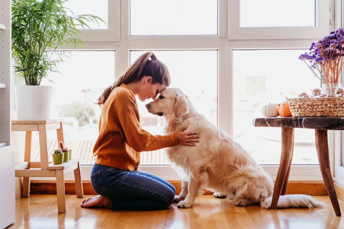 First-Time Foster Pet Parent