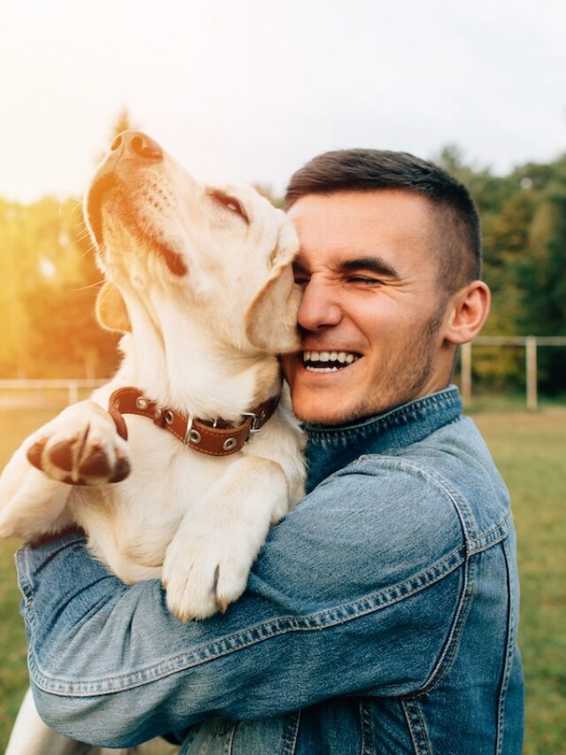 Happy,Young,Man,Holding,Dog,Labrador,In,Hands,At,Sunset