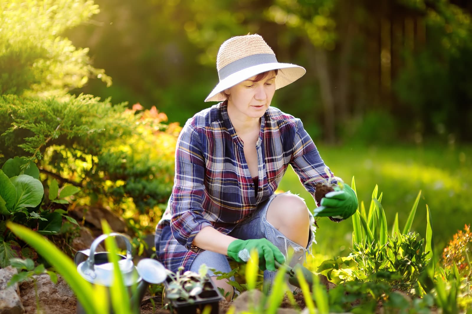 Lazy Susan Demanded He Cut Her Weeds, She Kept Demanding More and Ended ...